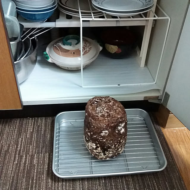 acyakoさんの実例写真