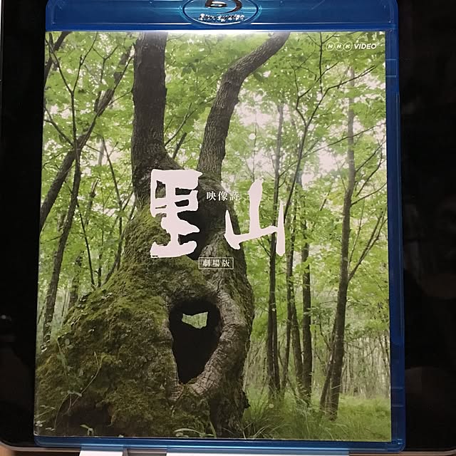 Shigeさんの実例写真