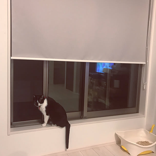 miruさんの実例写真