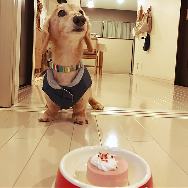 Browncafeさんの実例写真