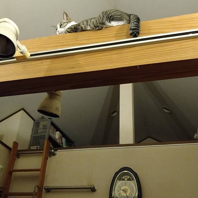 sakai0531cさんの実例写真