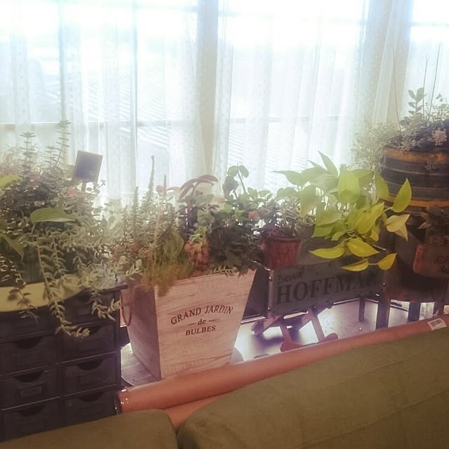 minamiさんの実例写真