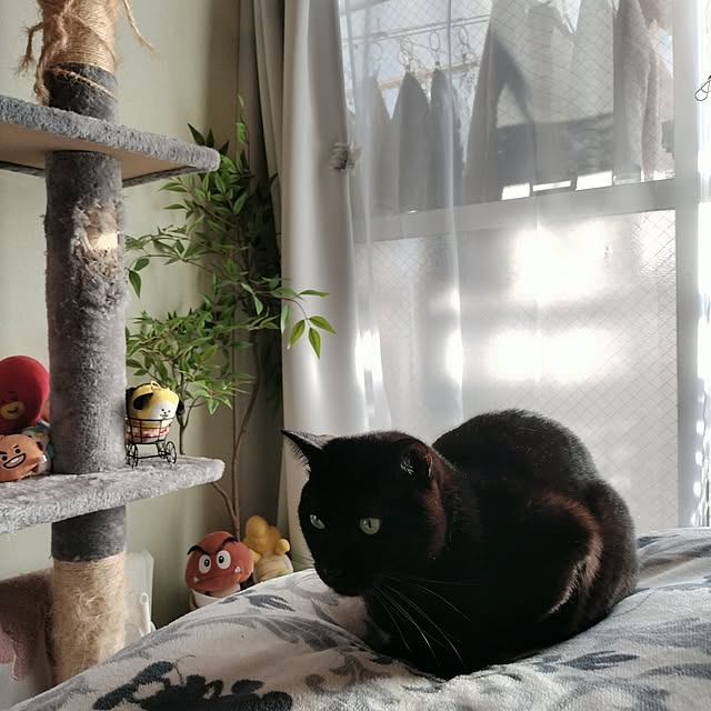 Tさんの実例写真