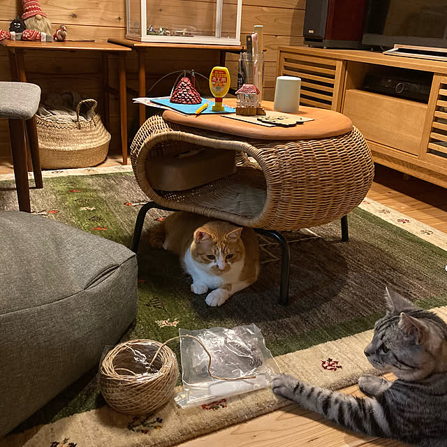 mkmkmoominさんの実例写真