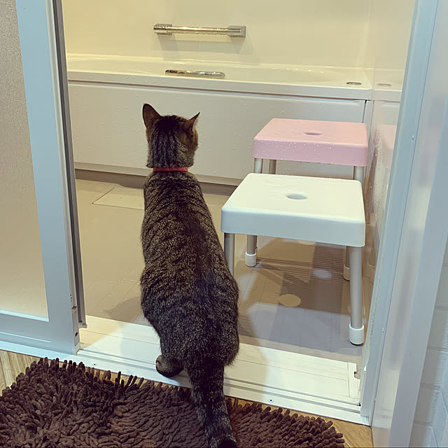 mimiさんの実例写真