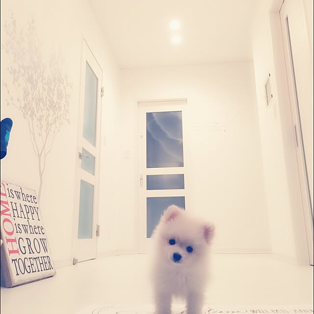 Yukieさんの実例写真