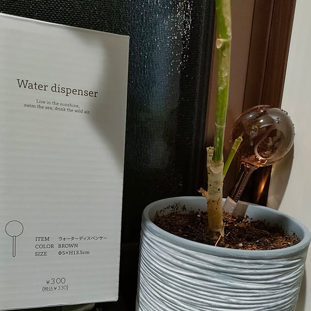 napiさんの部屋