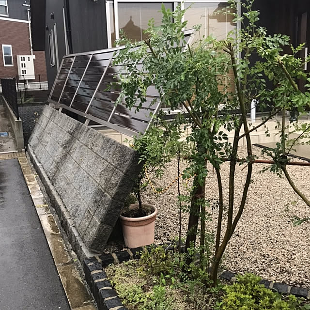 部屋全体/台風被害/記録用/庭のインテリア実例 - 2020-09-09 21:53:24