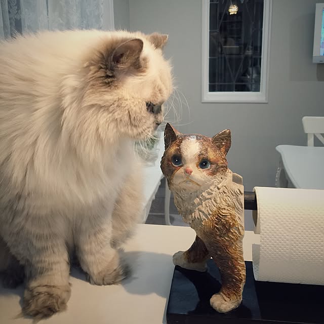yuchiさんの実例写真