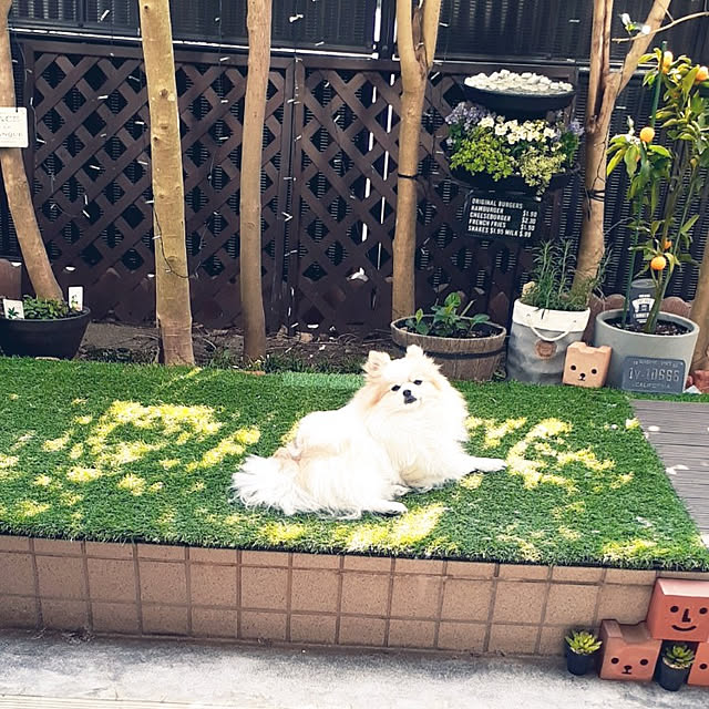 noahさんの実例写真