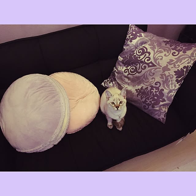 KATE666さんの実例写真