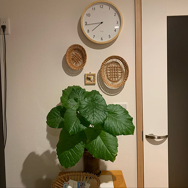 kekokekoさんの実例写真
