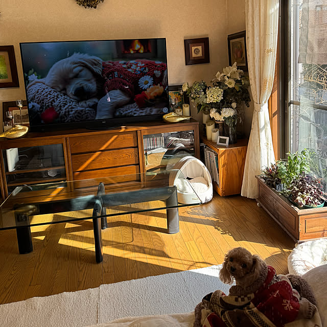 mamizaさんの部屋