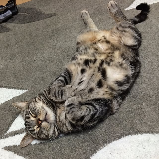s.tkrnh.5さんの実例写真