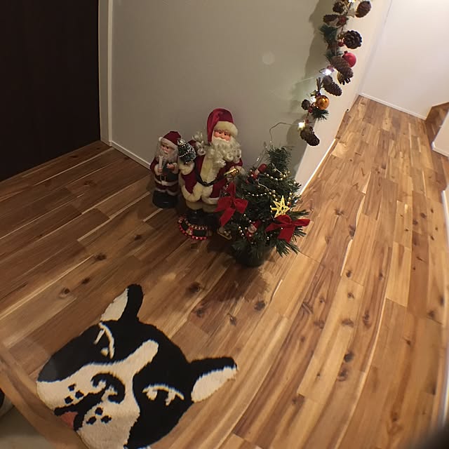 実例写真