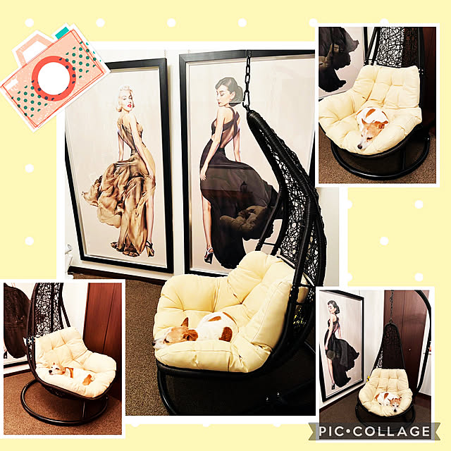 miyuuさんの実例写真