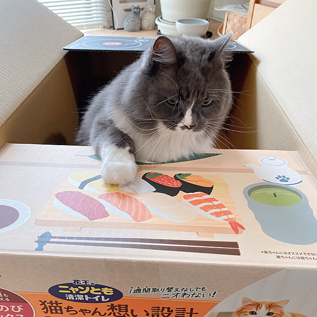 mangomilkさんの部屋