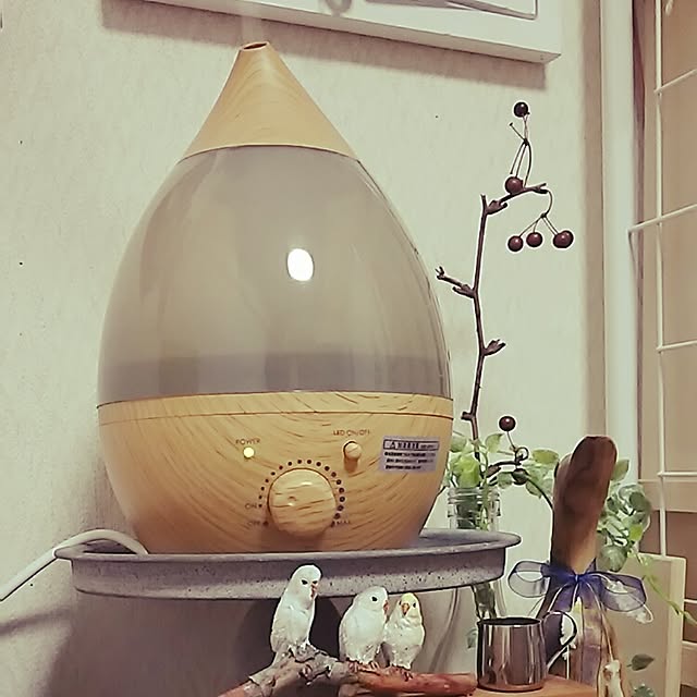 .Yamadaさんの実例写真