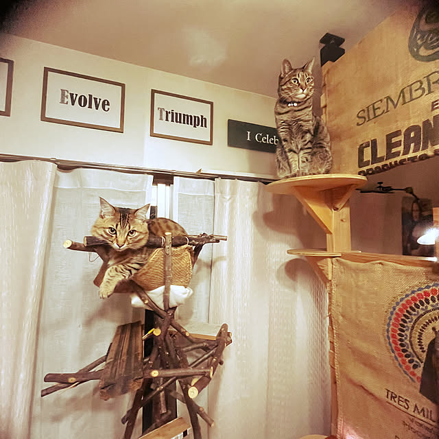 Mさんの実例写真