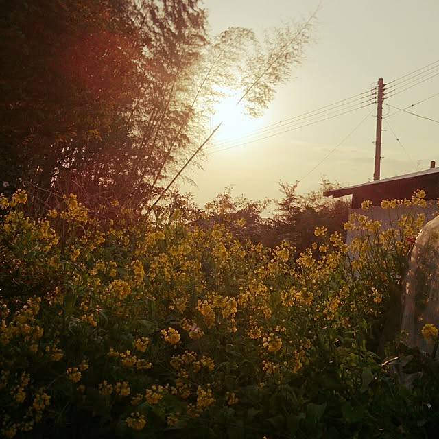 kikuさんの実例写真