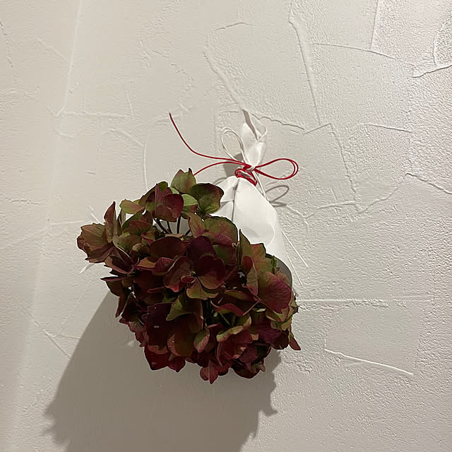kuikoさんの部屋
