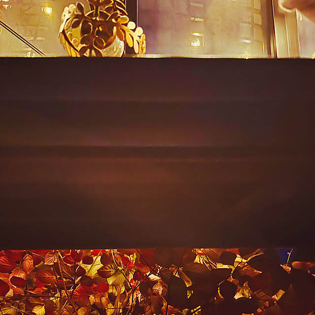 chacoさんの部屋