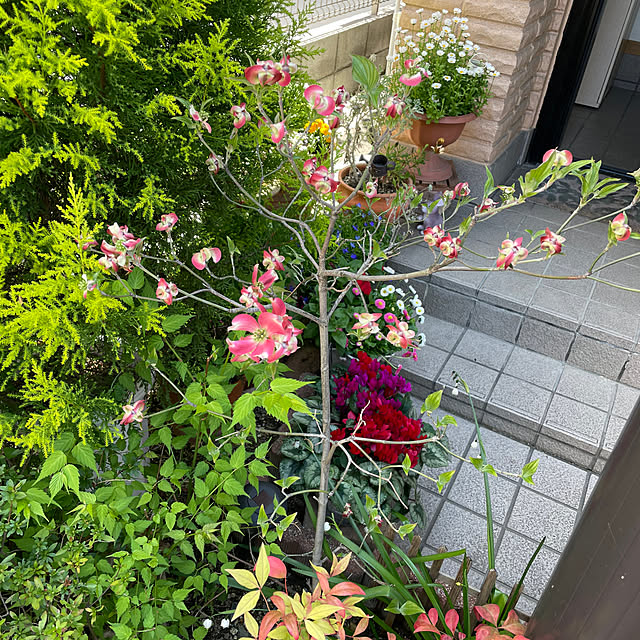 mocoさんの部屋
