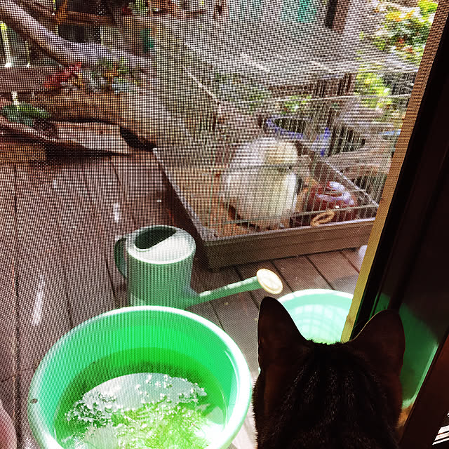 pepeさんの実例写真