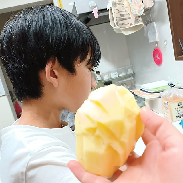 実例写真