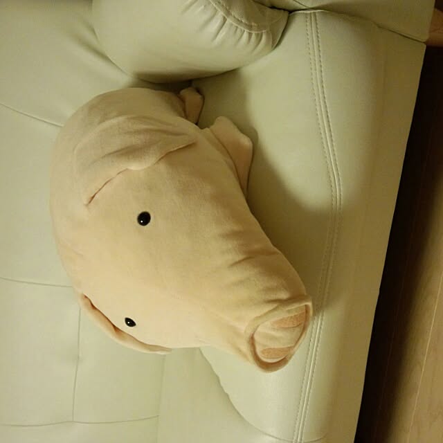 azukiさんの実例写真