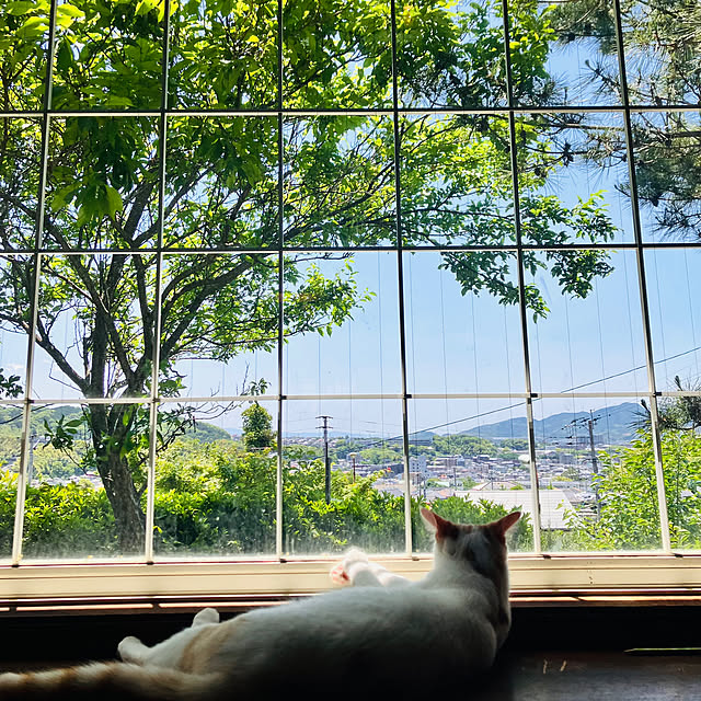 tomorinさんの部屋