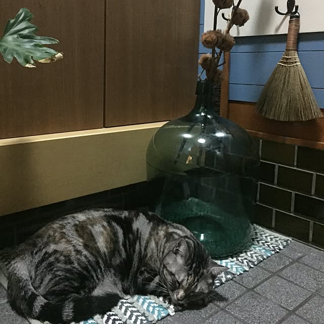 haruさんの実例写真