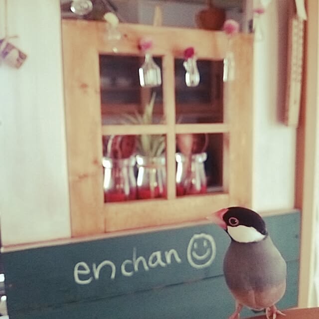 miiさんの実例写真