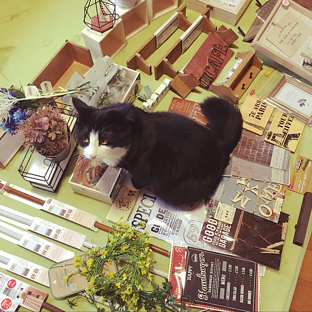 mame-minさんの実例写真