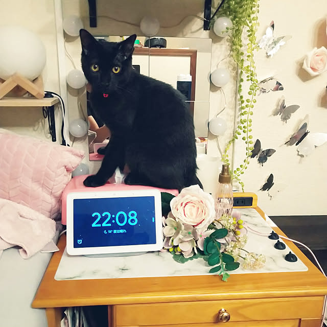 Tさんの実例写真