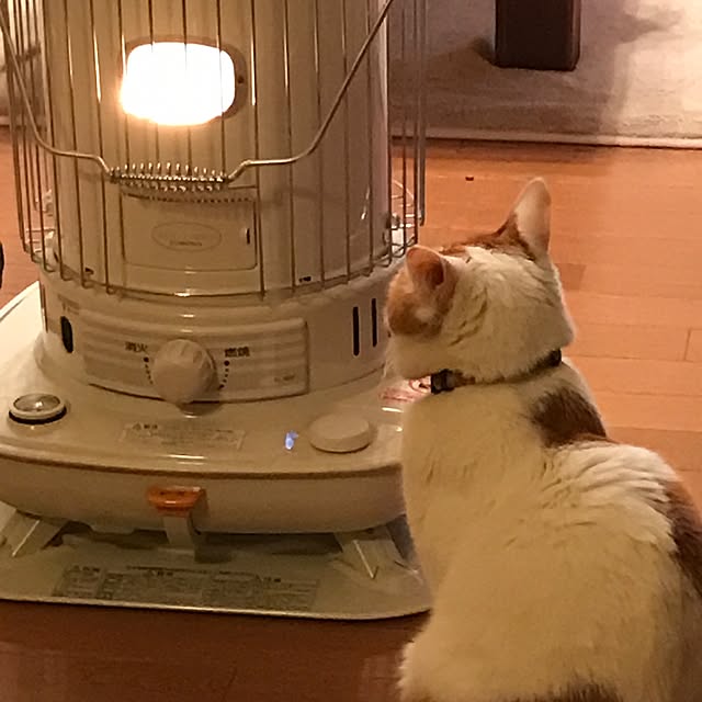JILREOさんの実例写真