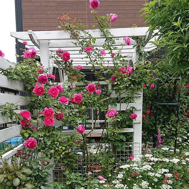 tomotomoさんの部屋