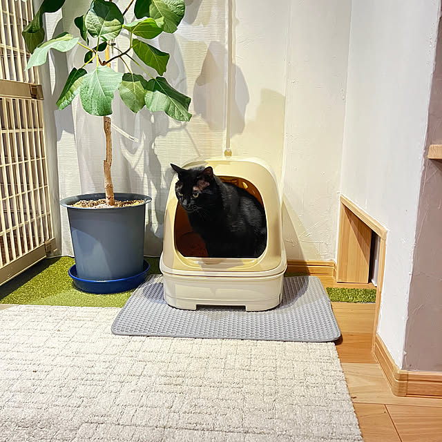 Com816さんの部屋
