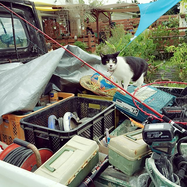 RIONさんの実例写真