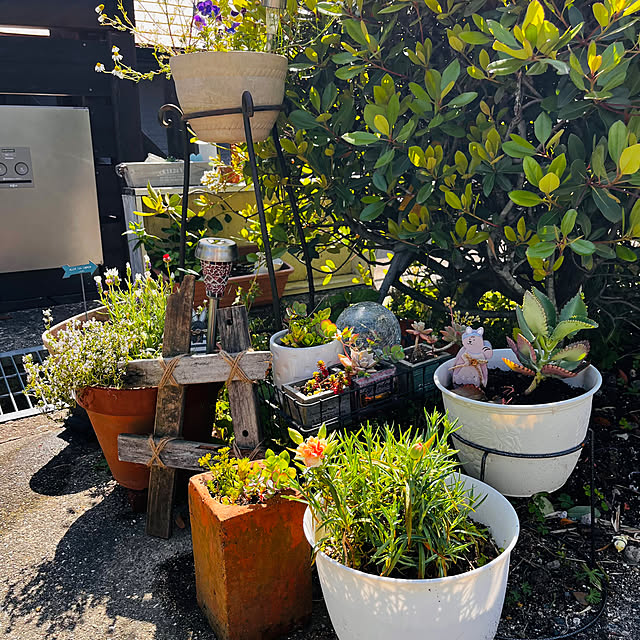 jijiさんの部屋