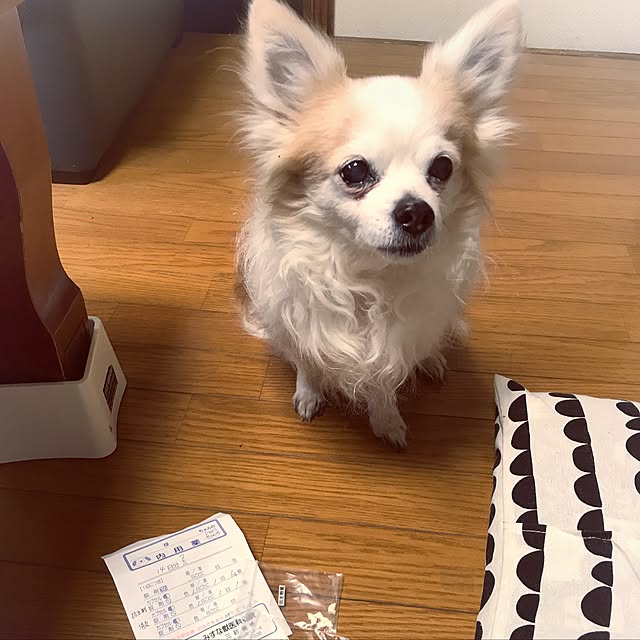 seroriさんの実例写真