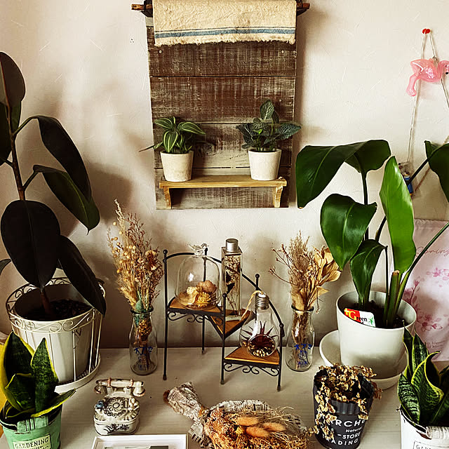 aimina0107さんの実例写真