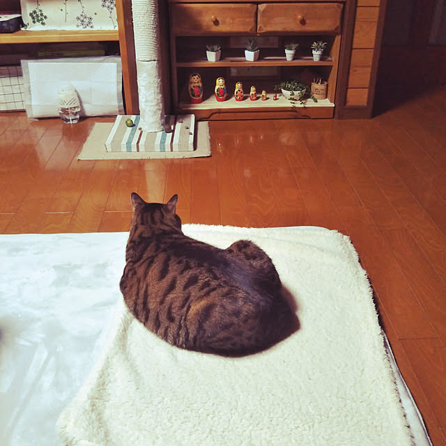 sho.27.yuki.11さんの実例写真