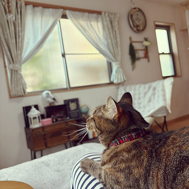 chiiさんの実例写真