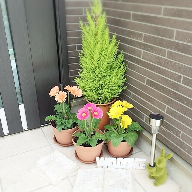 minakoさんの実例写真