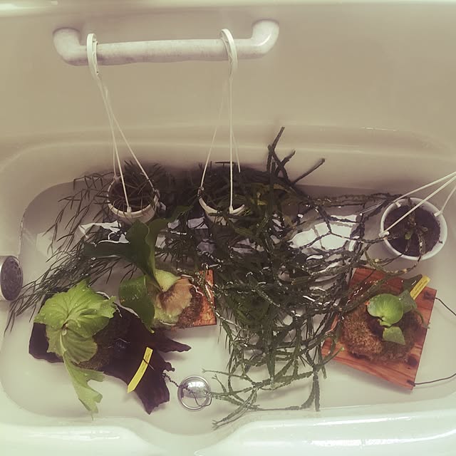 kiyozowさんの実例写真