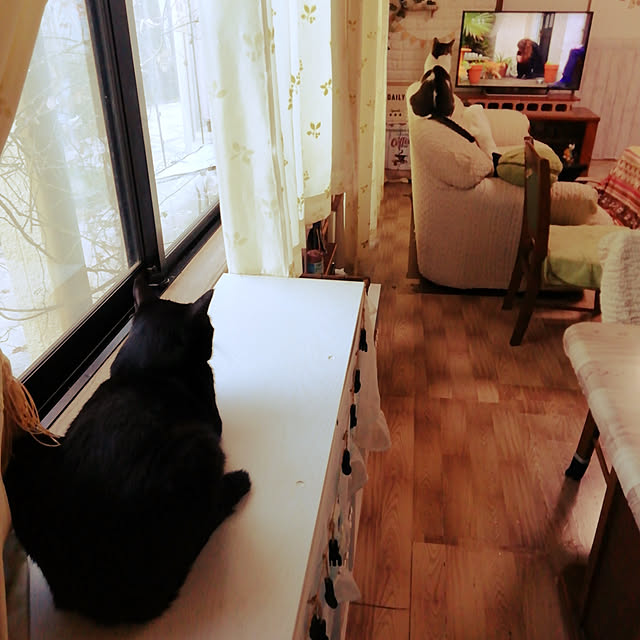 Tomopさんの実例写真