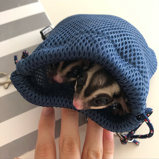 mieさんの実例写真