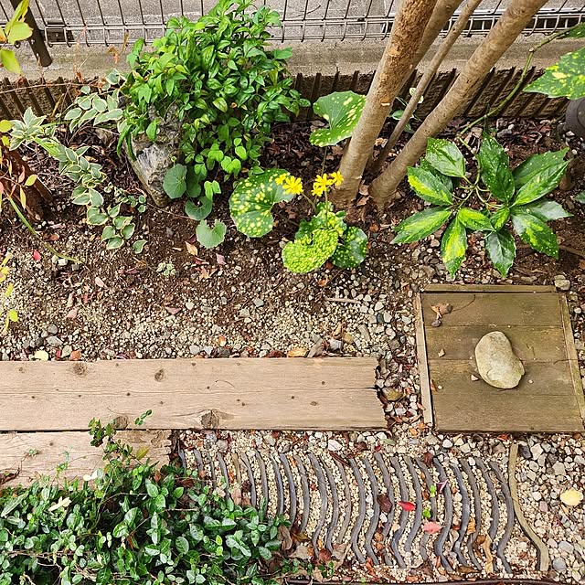 yasu10さんの実例写真