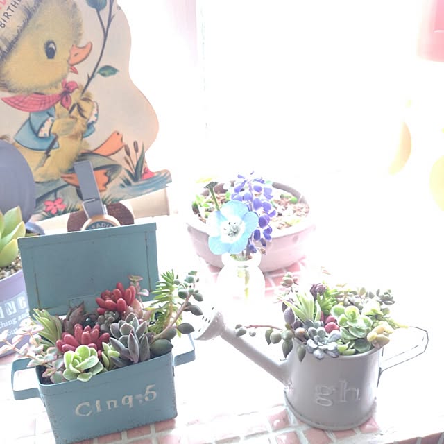 Michieさんの実例写真